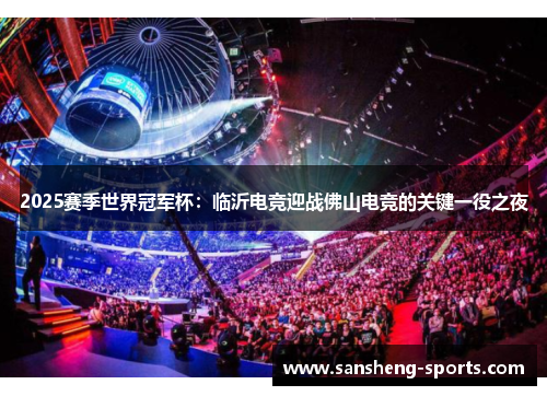 2025赛季世界冠军杯：临沂电竞迎战佛山电竞的关键一役之夜